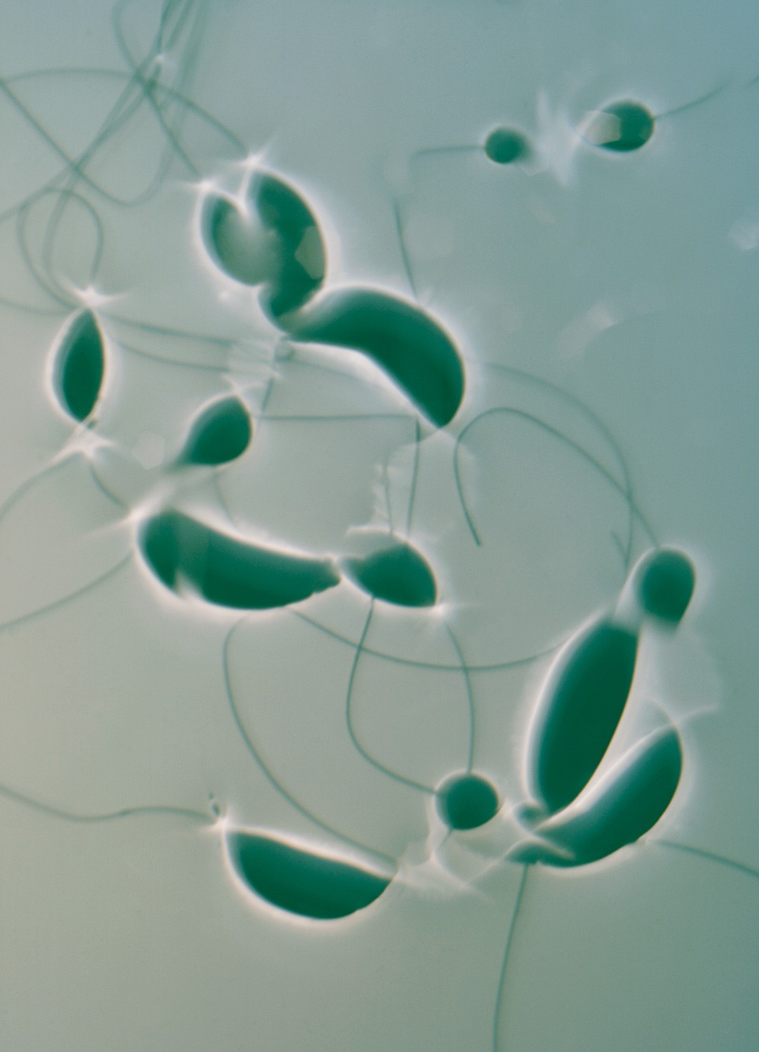 Konkrete Fotografien 13